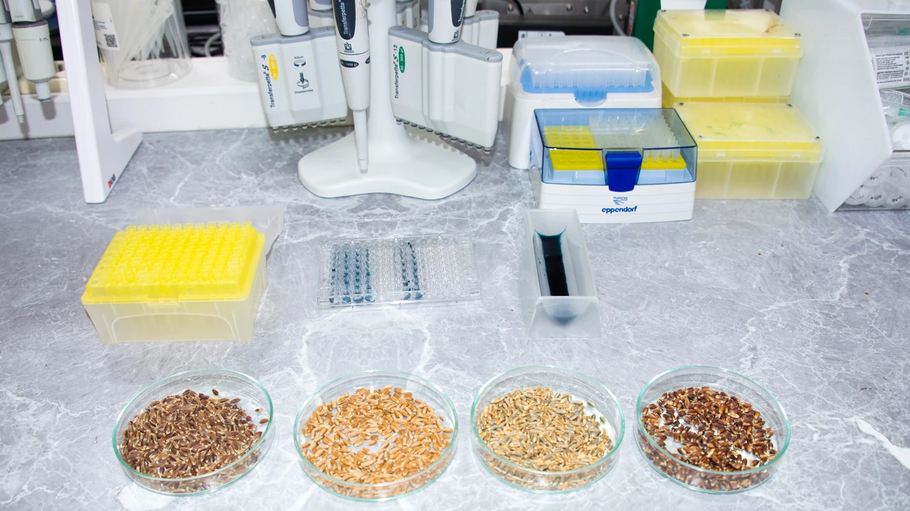 Selçuk Üniversitesinden gıda güvenliği ve stratejik tarıma yönelik önemli proje  